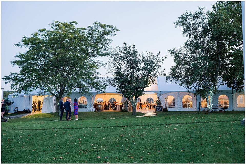 Marquee at night