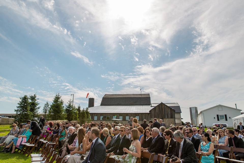 Winery Wedding Ontario