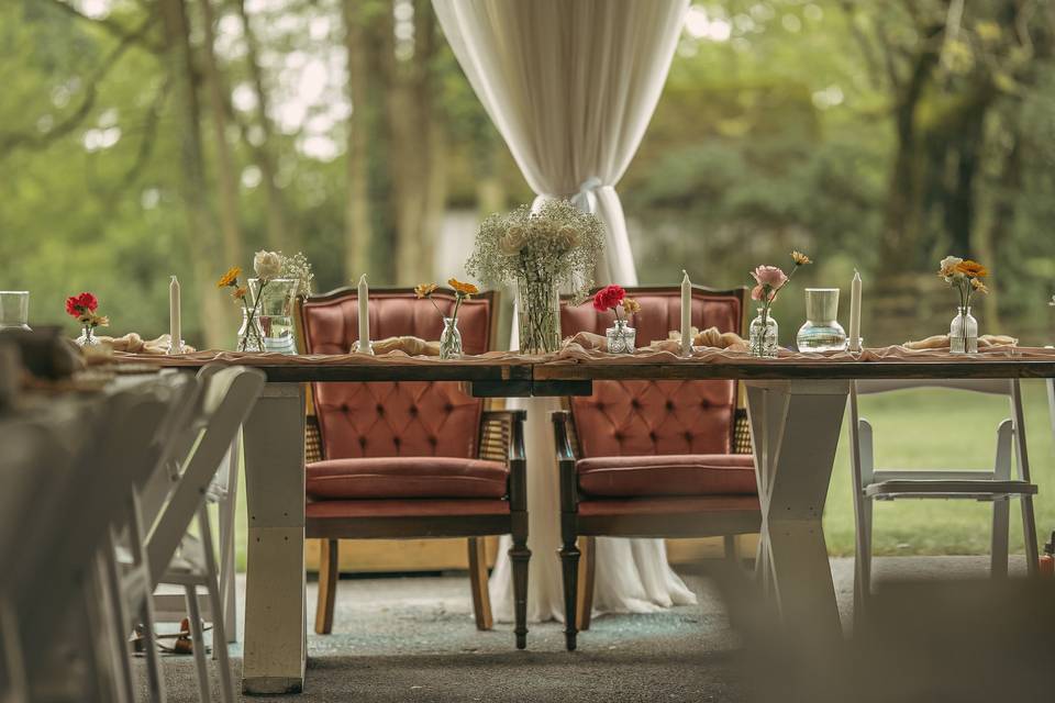 Can you tell I like plants