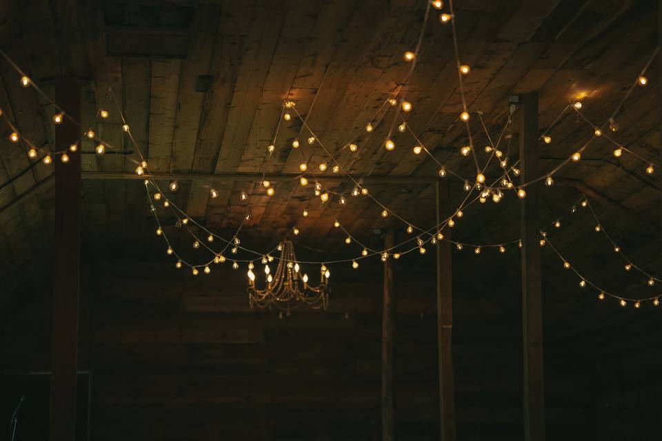 Edison bulbs are the best!