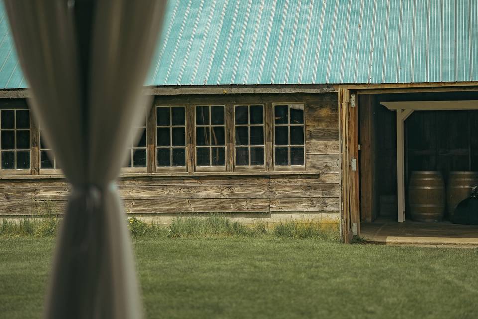 I love blue but green >>