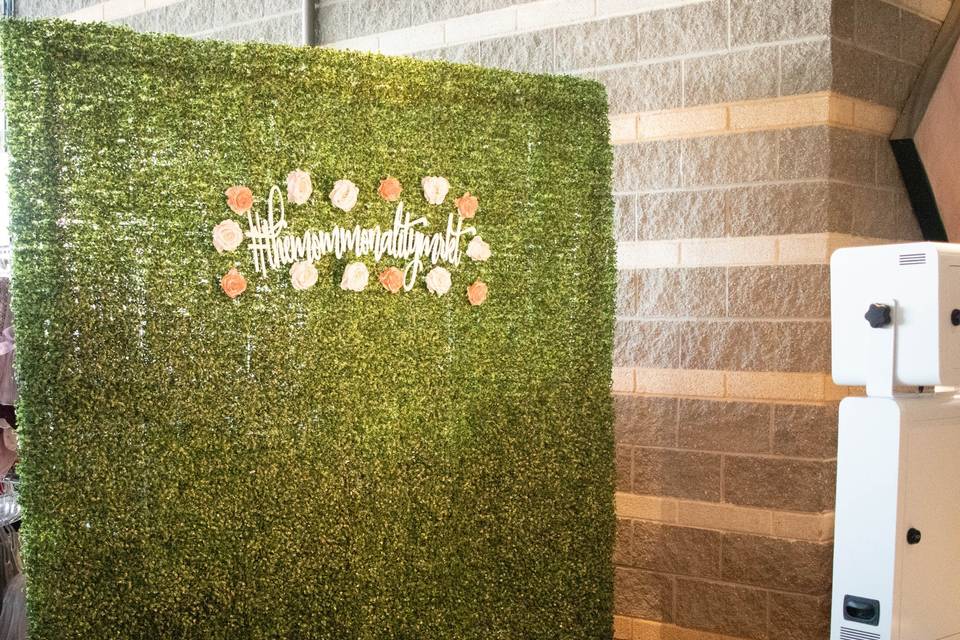 Match hedge wall