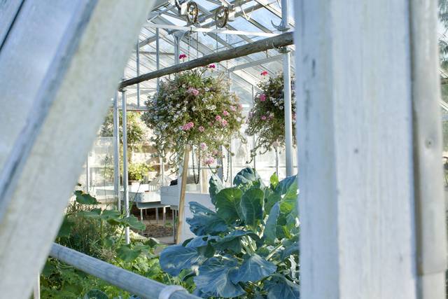 “In the Garden” wedding venue