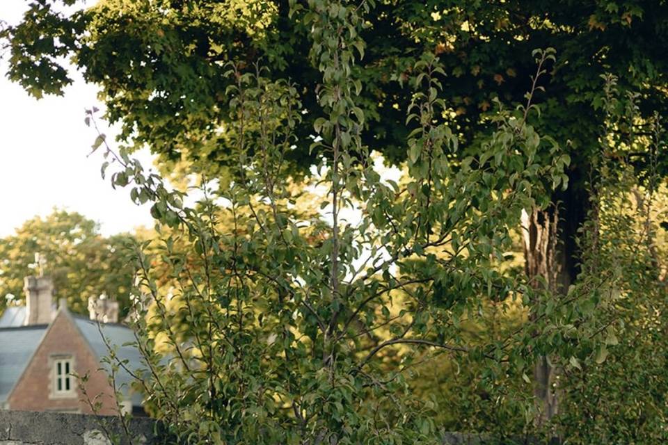 “In the Garden” wedding venue