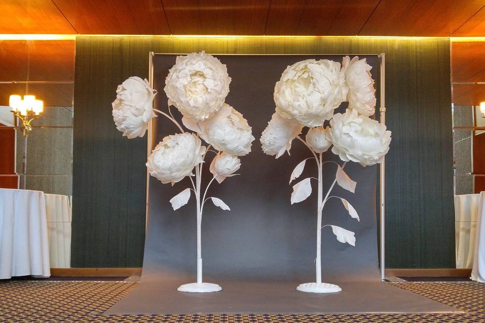 Giant white peonies