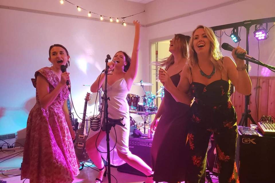 Bridesmaids Rock Out