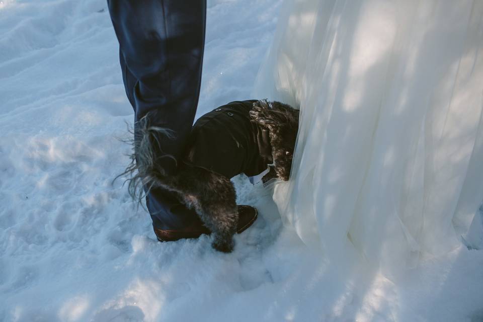 Calgary wedding photographer