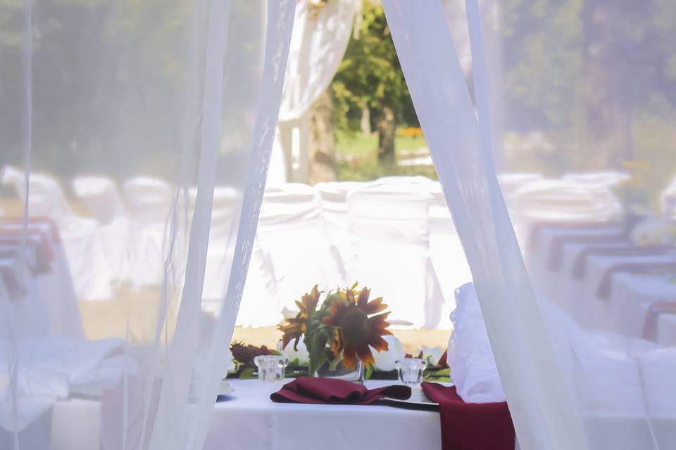 Eggplant sashes with white