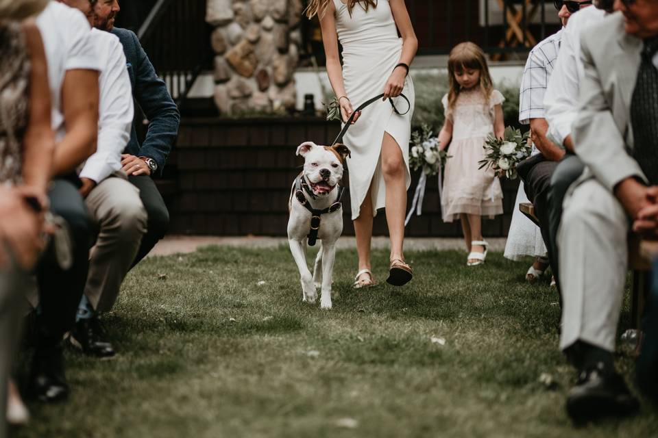 Dog ceremony