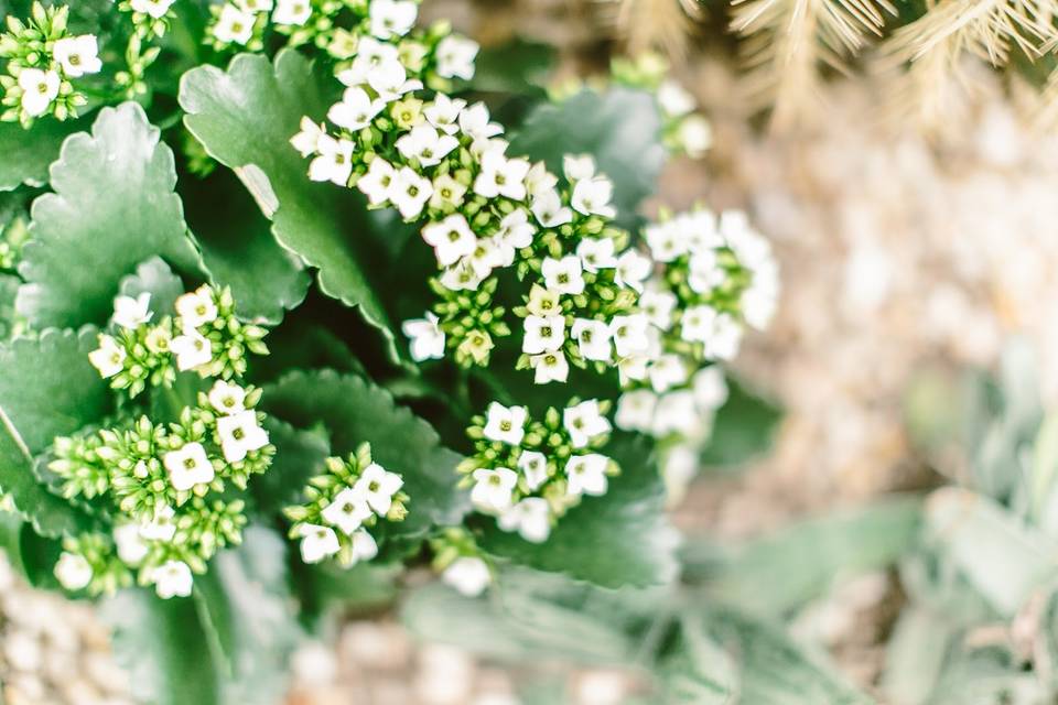 12.13.14 [Elisa & John - Engagement]-Blog-21.jpg