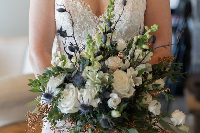 Kathryn Sutherland Photography