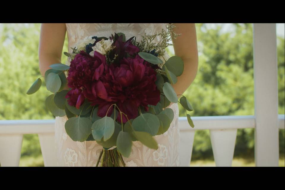 Gorgeous red flowers