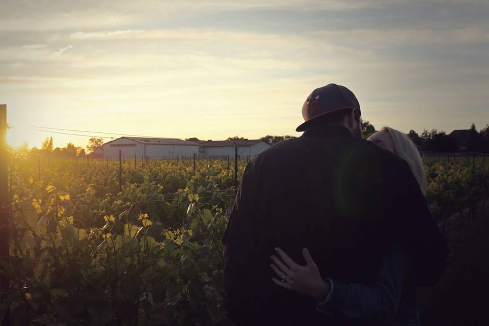 Vineyard romance