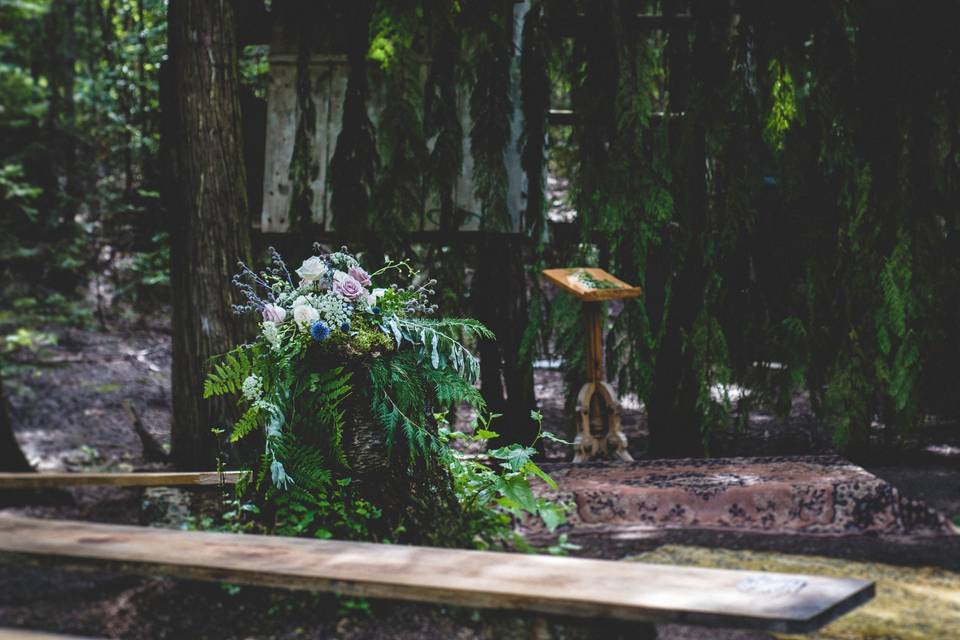 Rustic Wedding - High Country Tree Farm