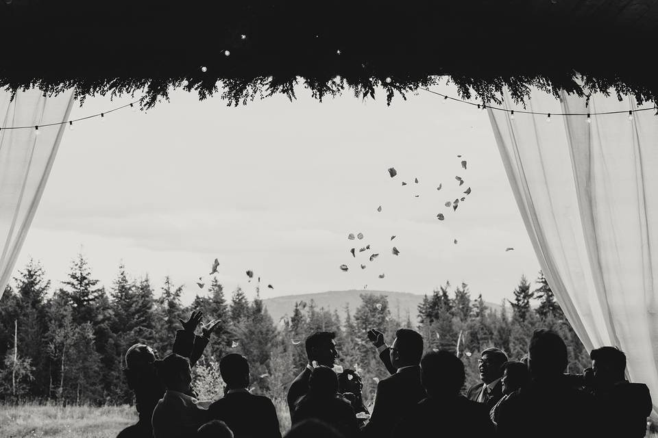 Rustic Wedding - High Country Tree Farm