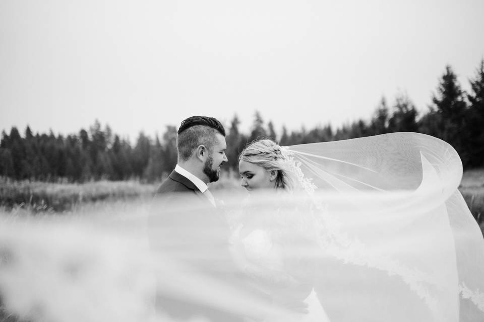 Rustic Wedding - High Country Tree Farm