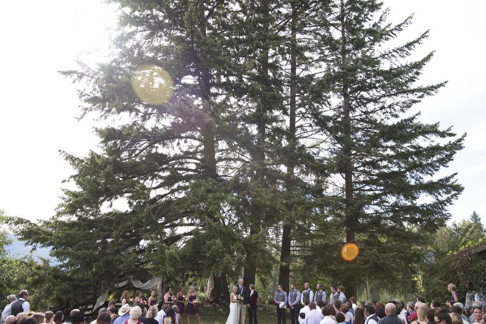 Rustic Wedding - High Country Tree Farm