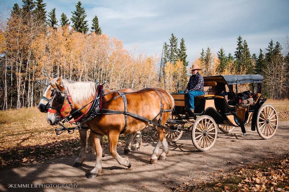 Wedding Carriage