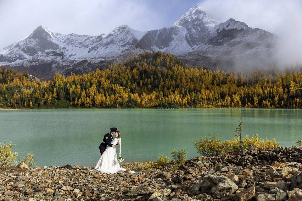 Wild Alpine Image Co.