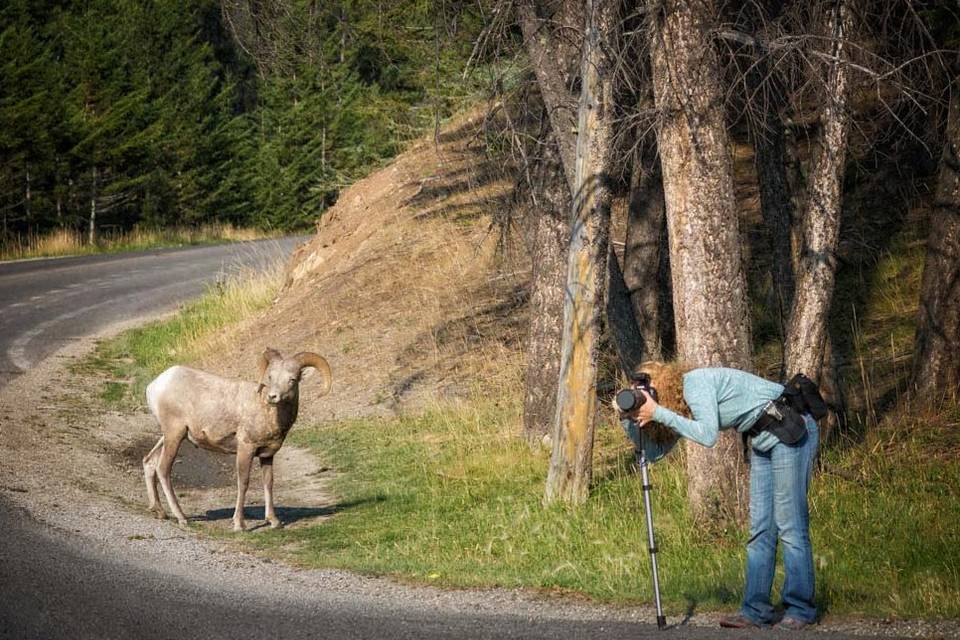 Banff photographer, SB