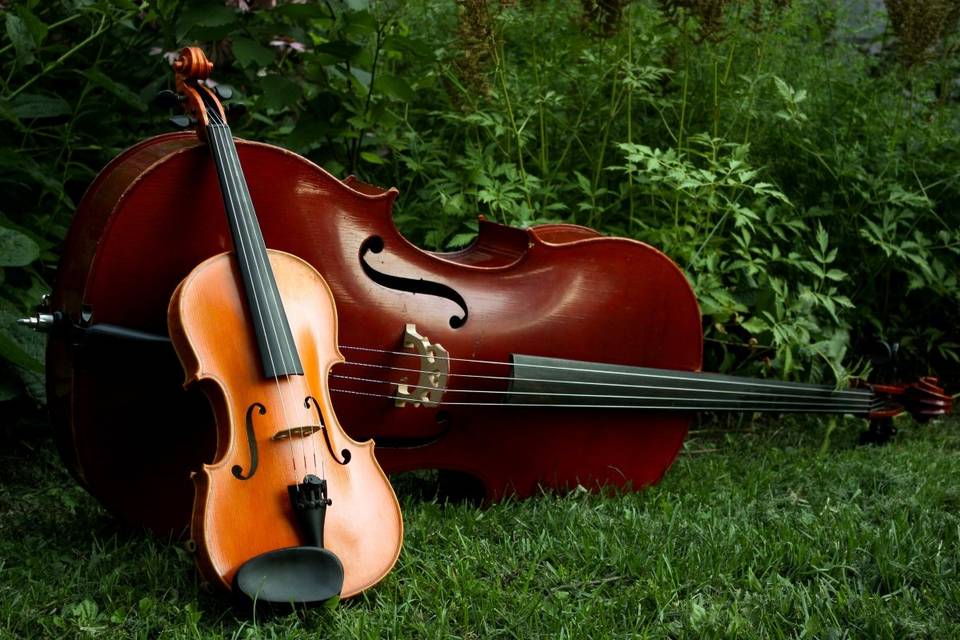 Violin + cello