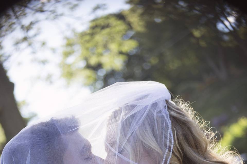 Veil photographs are the best