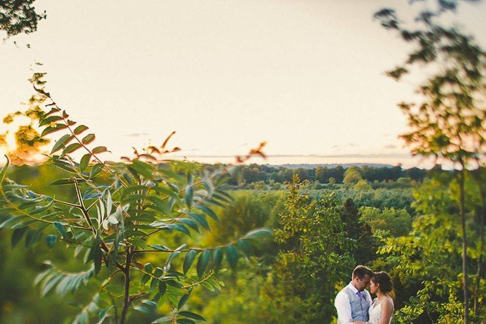 Luscious green scenery