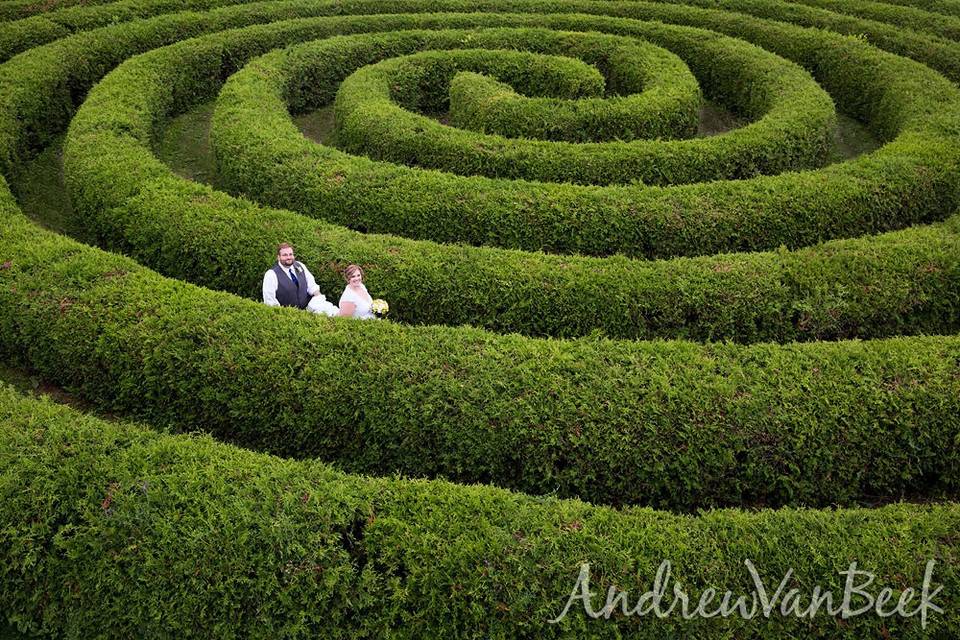 Spiral Hedge Maze