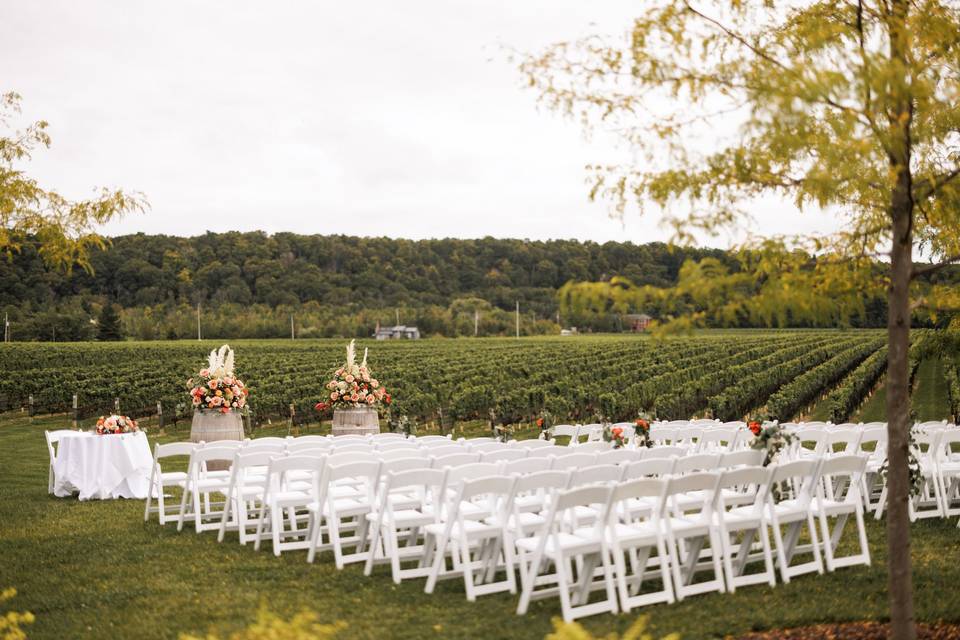 Vineyard Ceremony - Afterglow