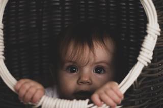 van der Walt Photography
