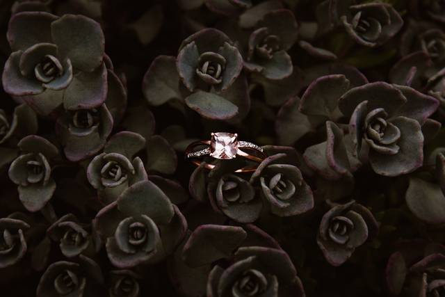 S+j wedding photography