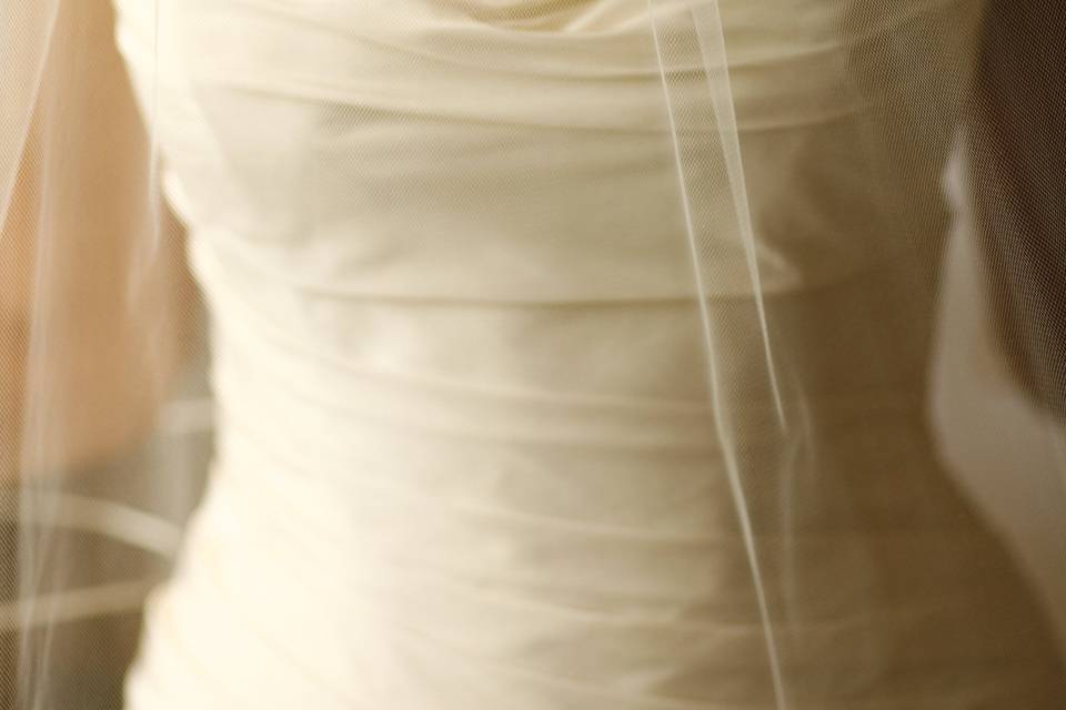 Close-up of guest-of-honour