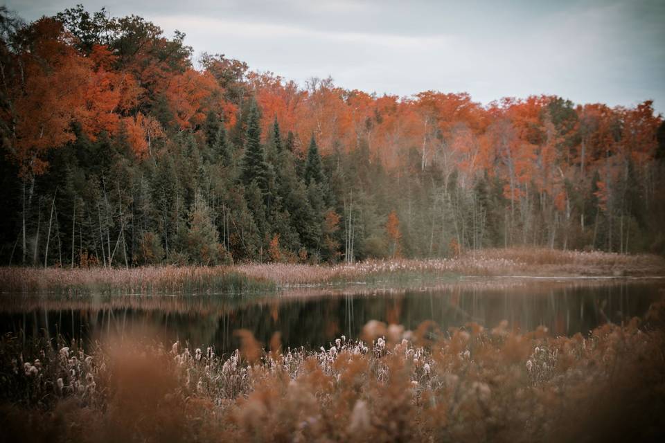 Hollowbrook Highlands