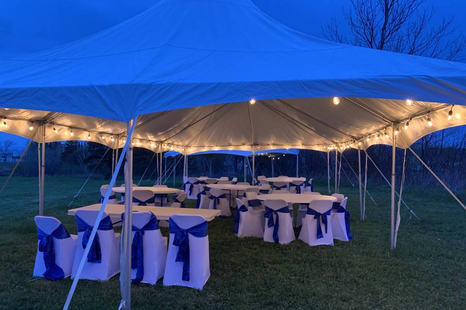View of wedding tent