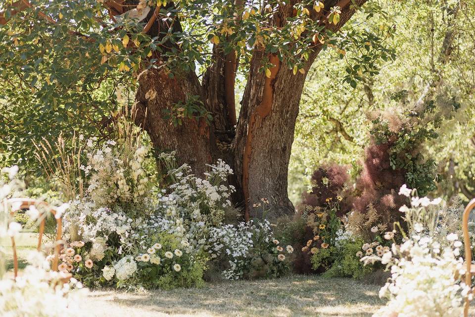 Arbutus Tree Ceremony