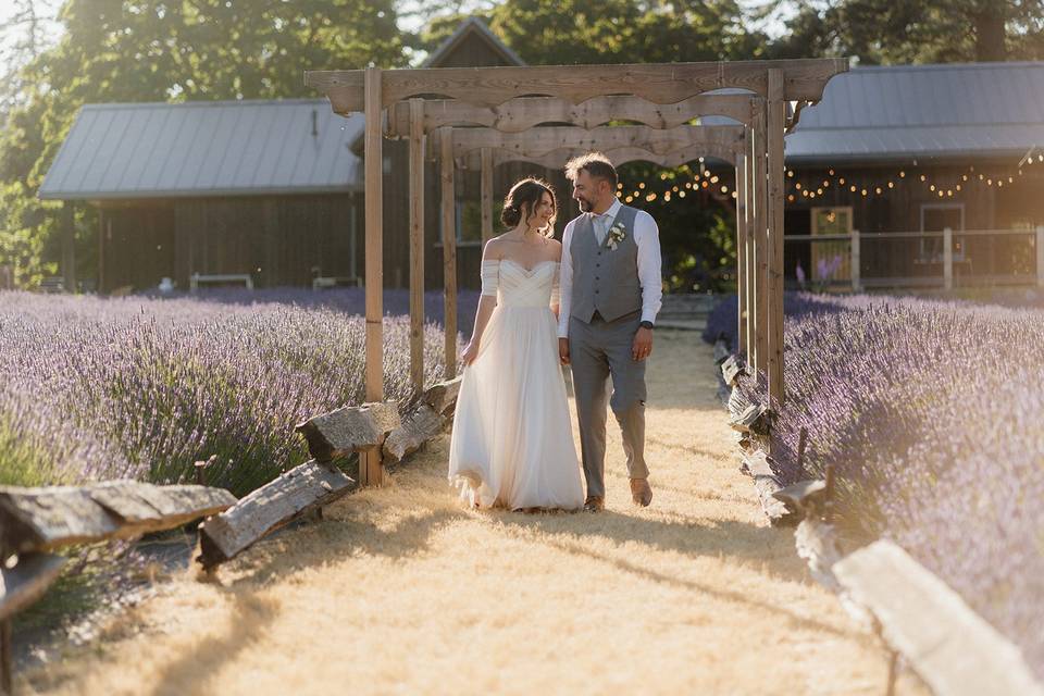 Stroll through Lavender