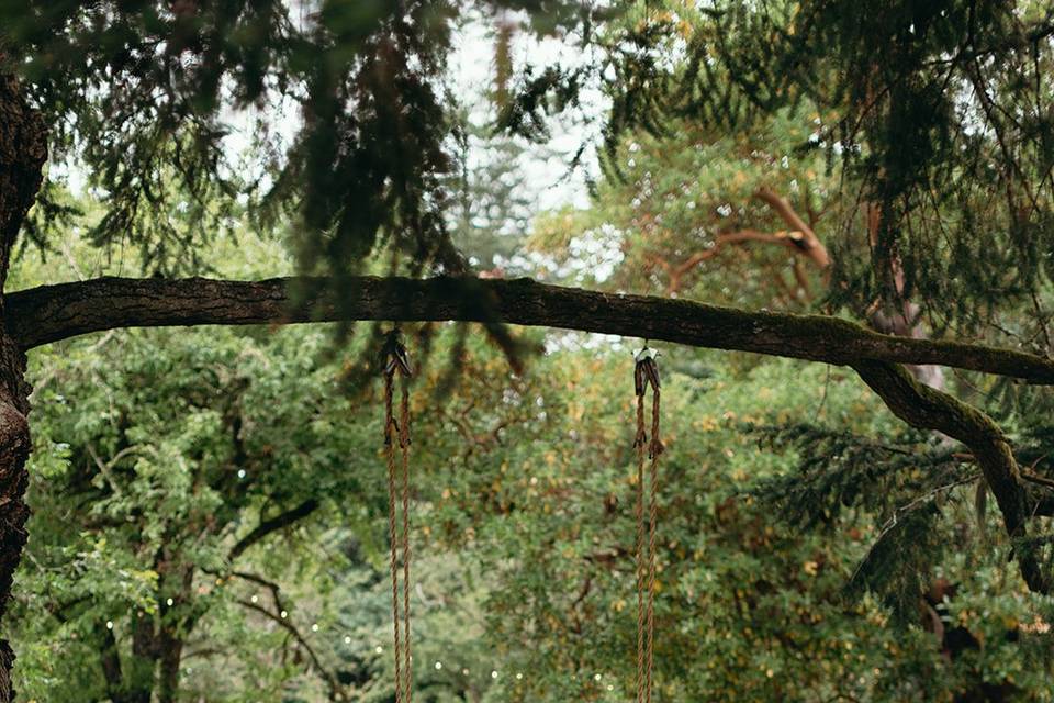 Our swing