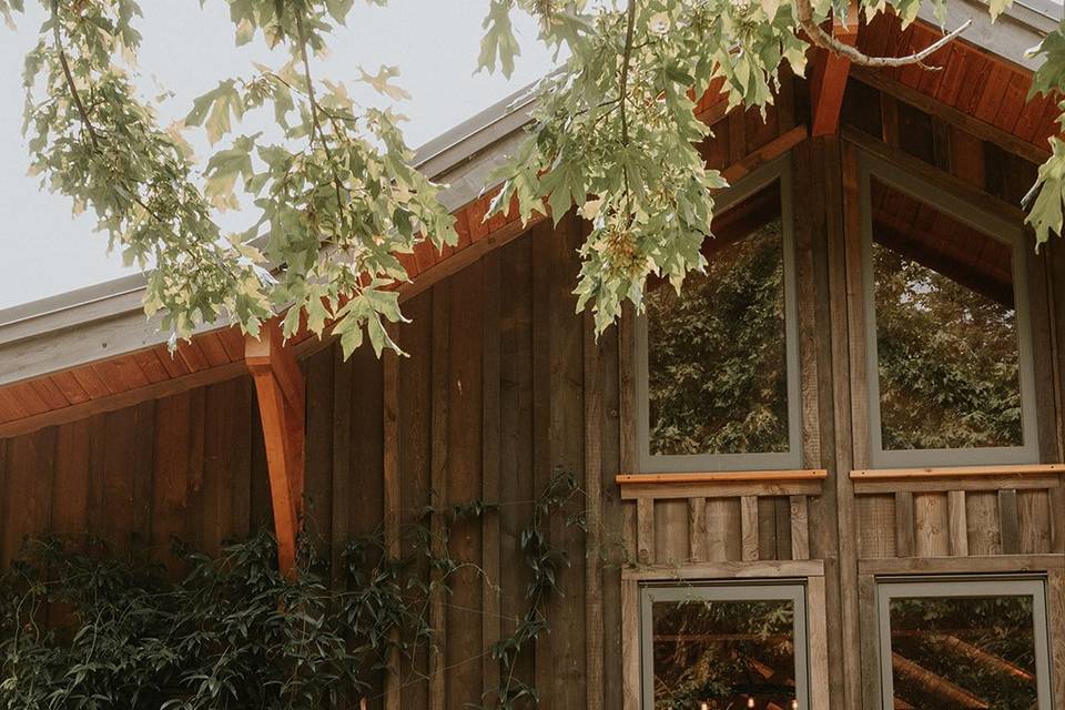 Forest bar
