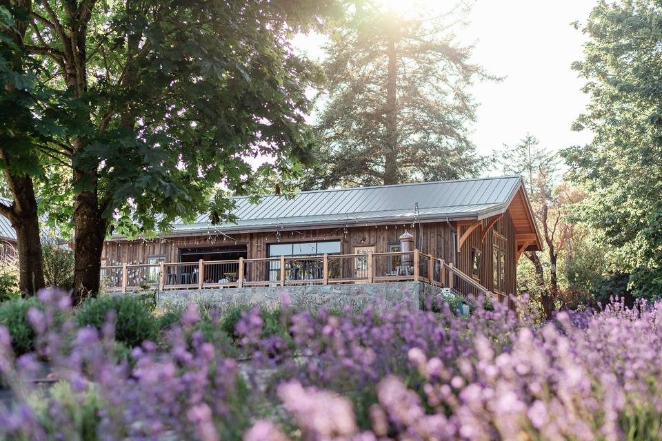 Barn from lavender