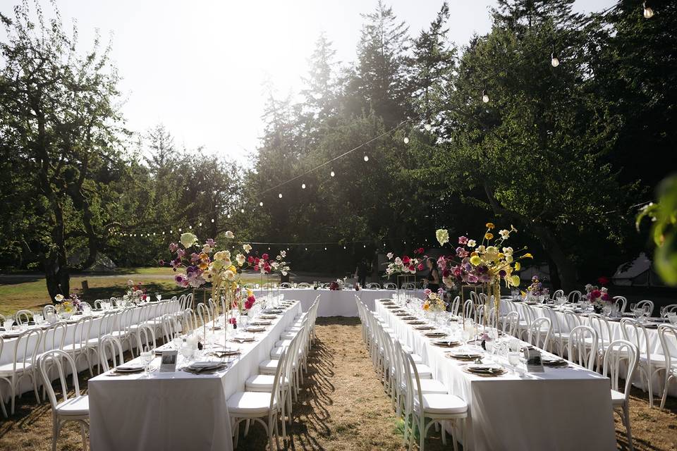 Orchard field dinner