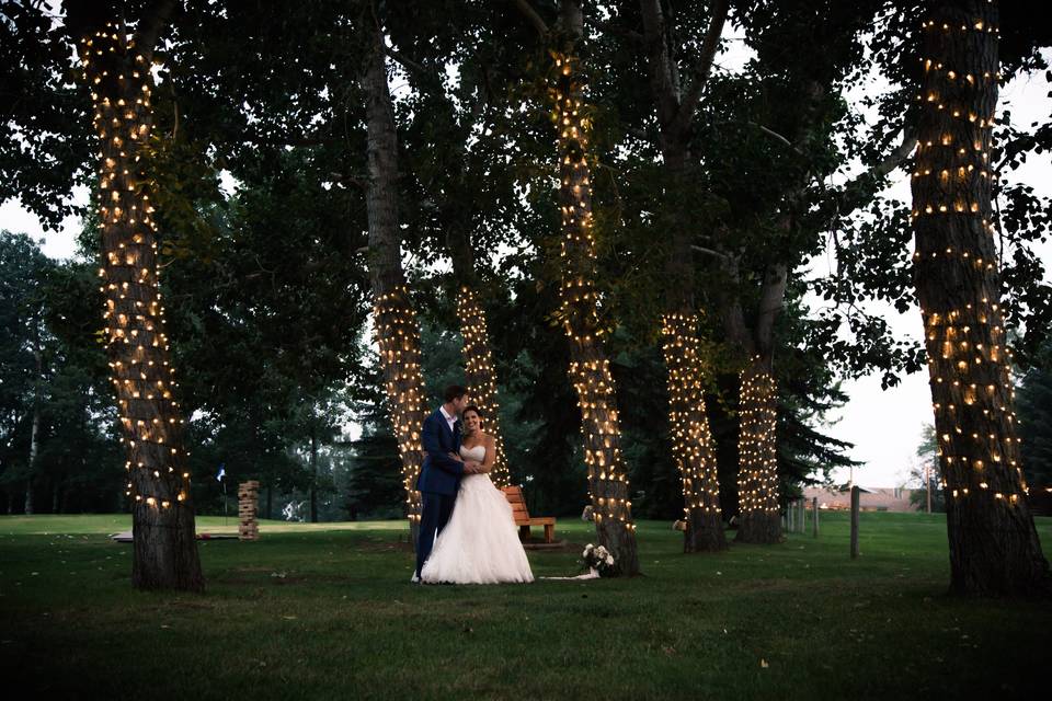 Trees at Dusk