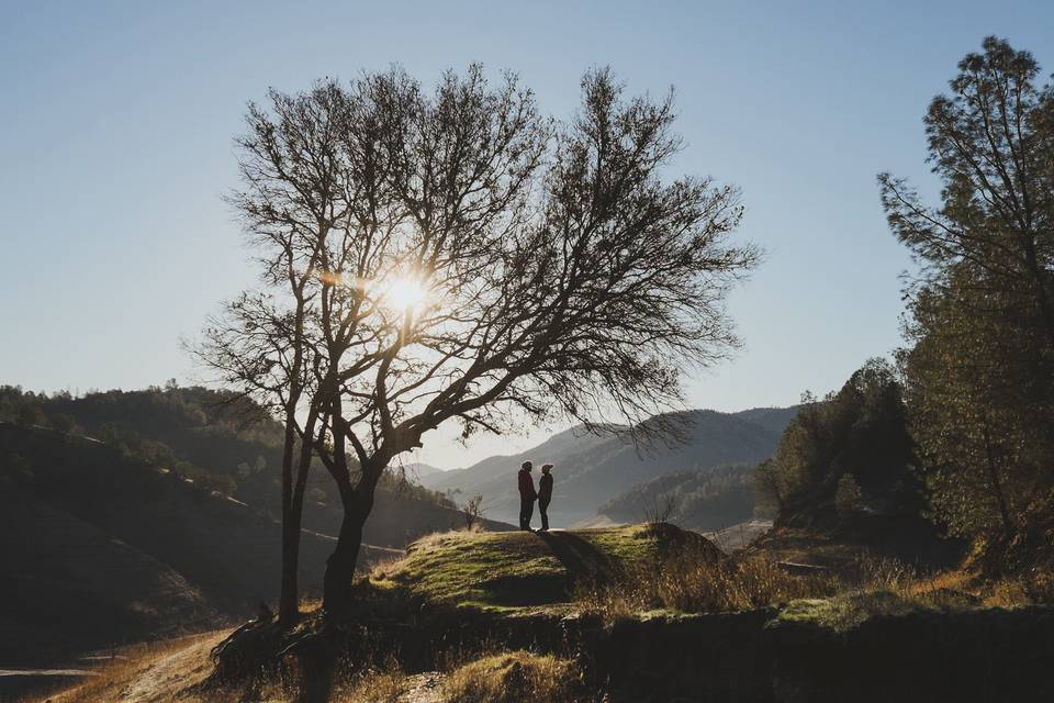 Guelph, Ontario engagement photographer