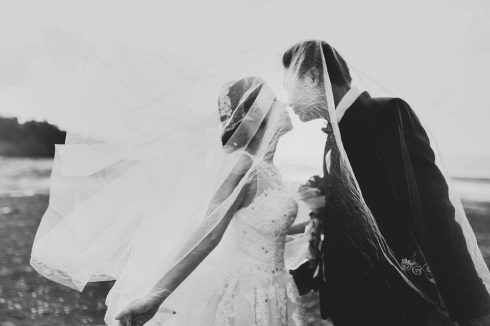 Wedding limo service kingston