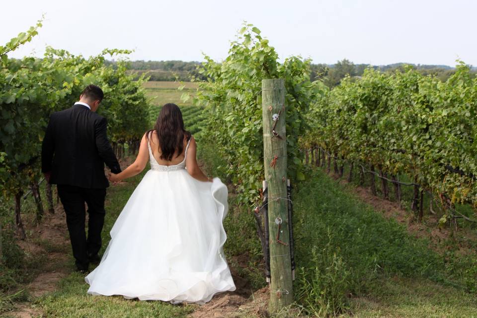 A walk through the vineyard