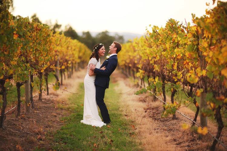 In the vineyard - Ben King Photography