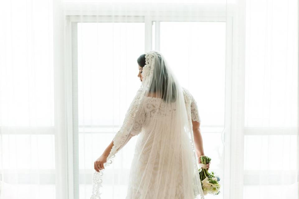 Gorgeous bride silhouette