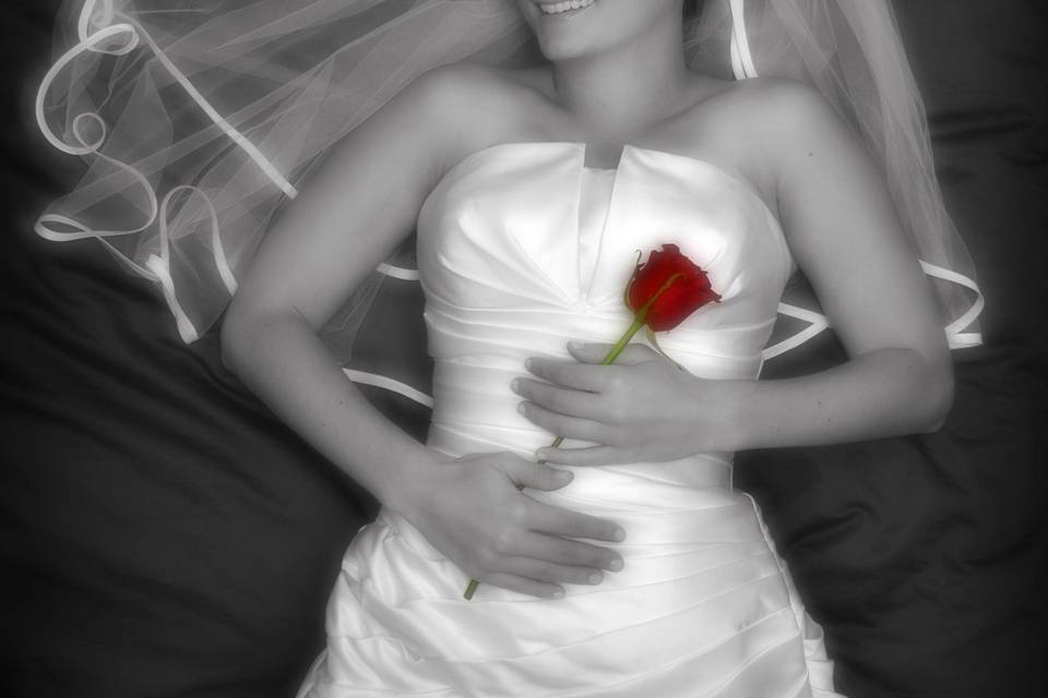 Red rose