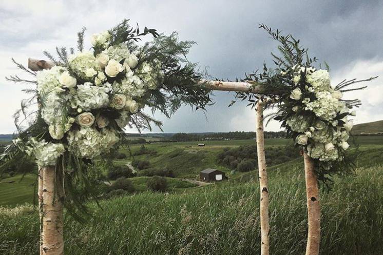 Birch Ceremony Arch for Rent