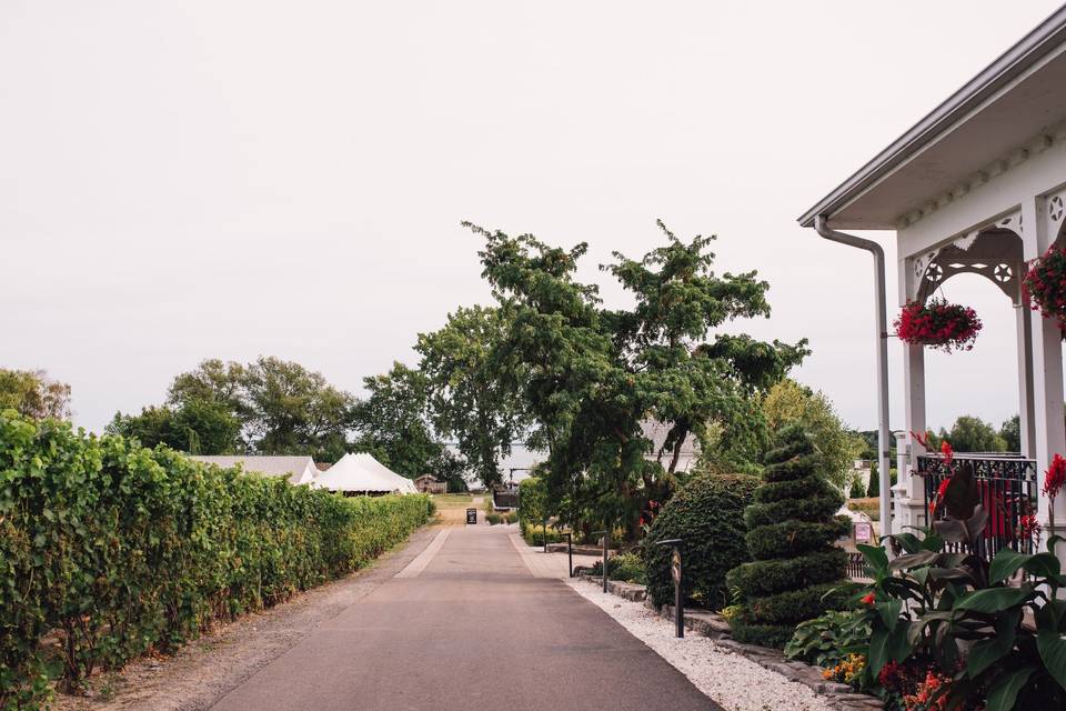 Walkway to ceremony and tent