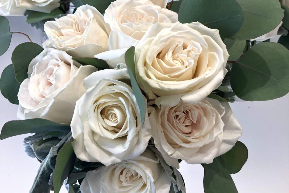 Off white roses